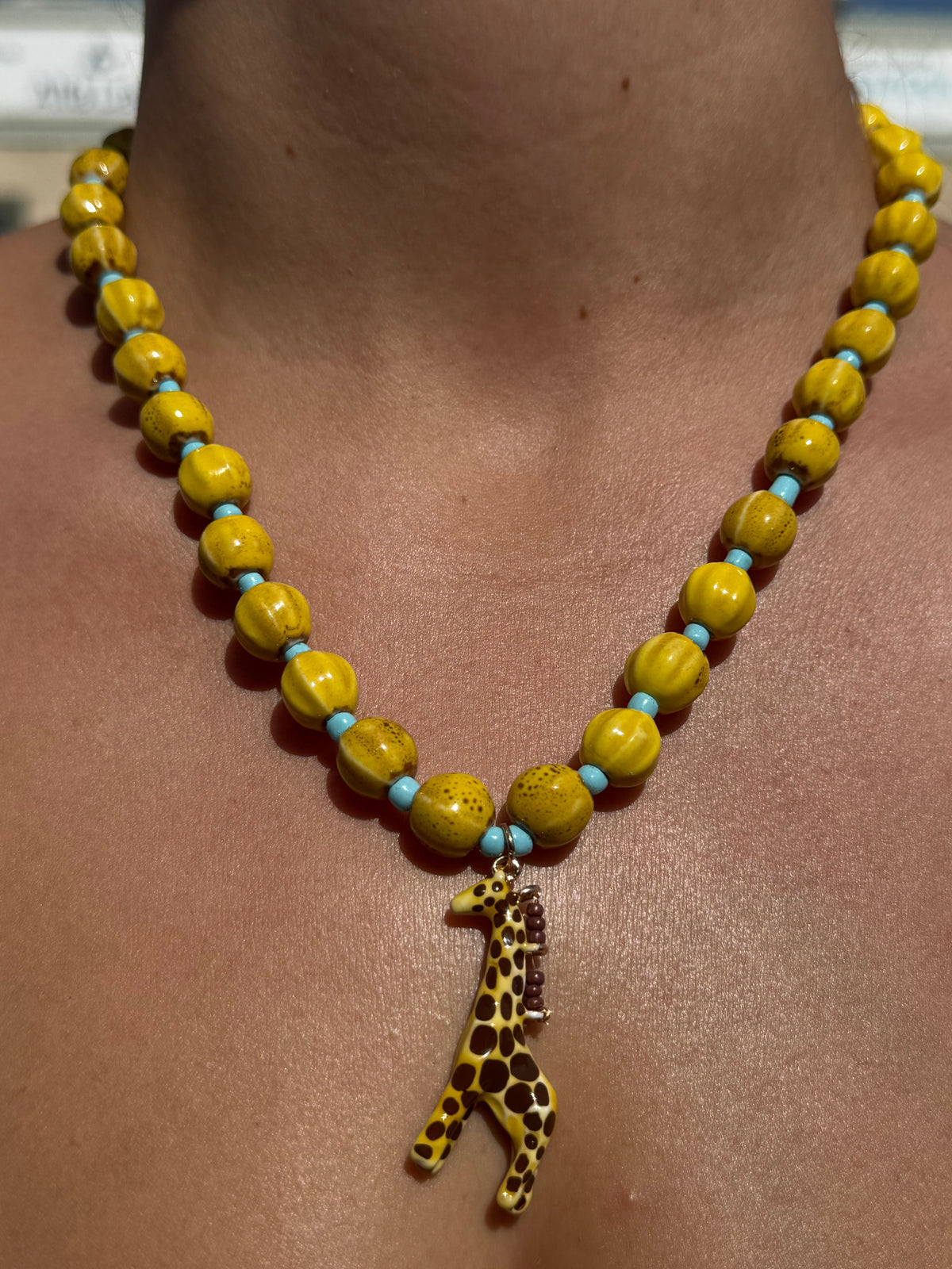 Collares animales